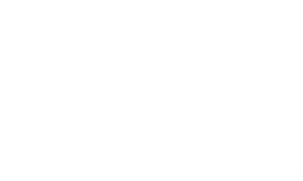 Kölner Zoo